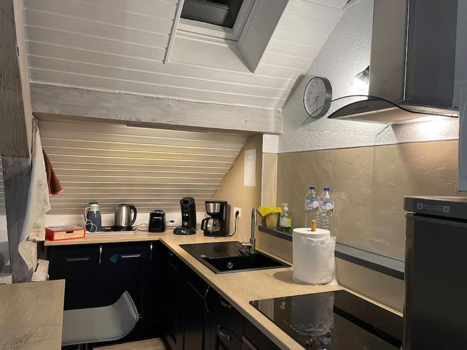 Loft Avec Jardin Leilighet Corcieux Eksteriør bilde